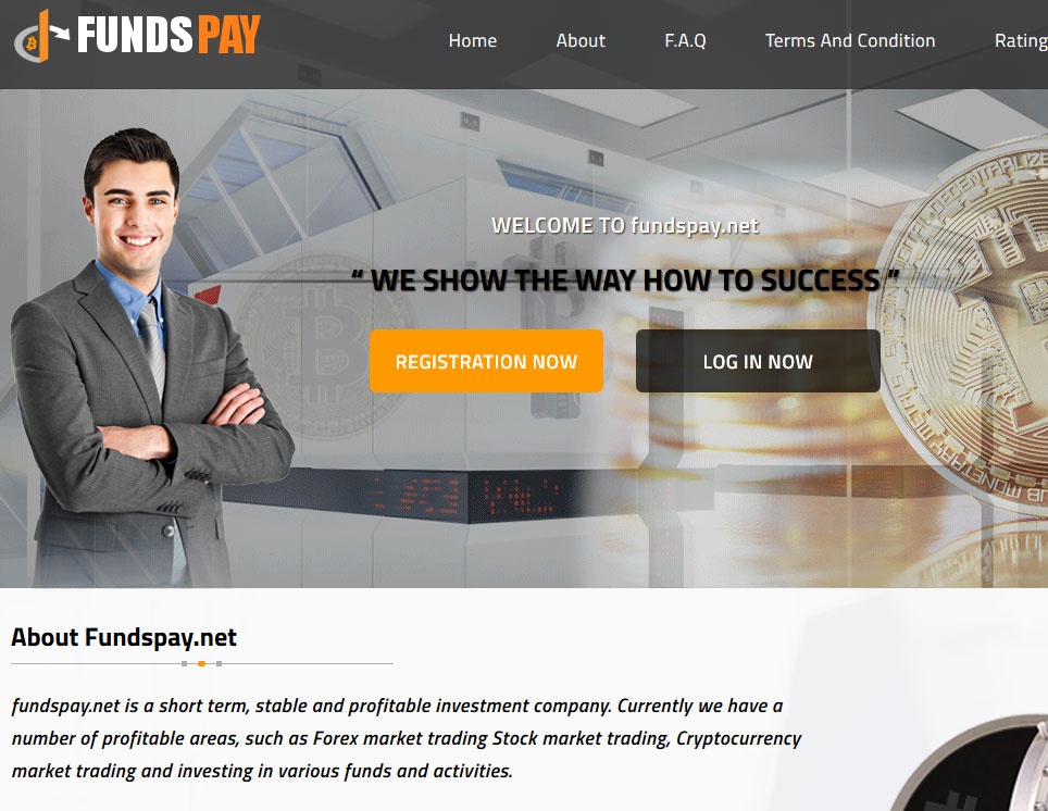 FundsPay Website Screenshot