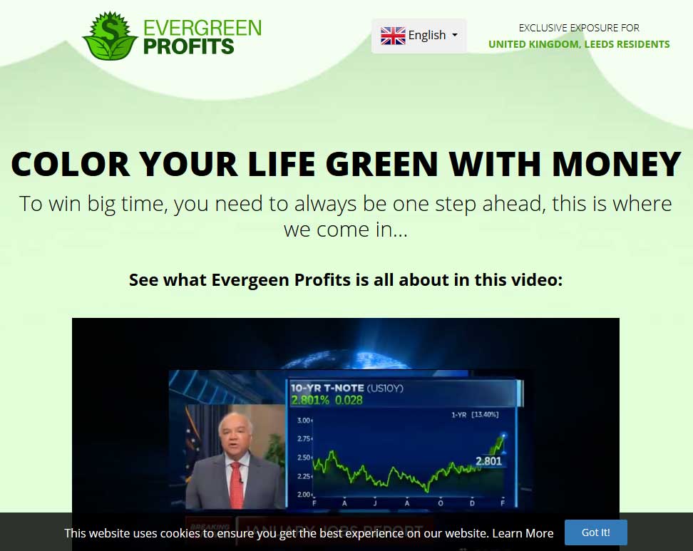 Evergreen Profits Website Screenshot