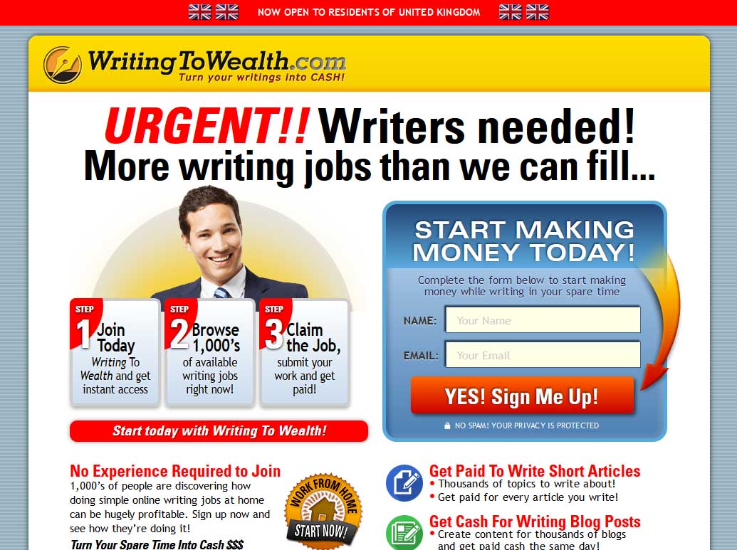 Writing To Wealth Website Screenshot