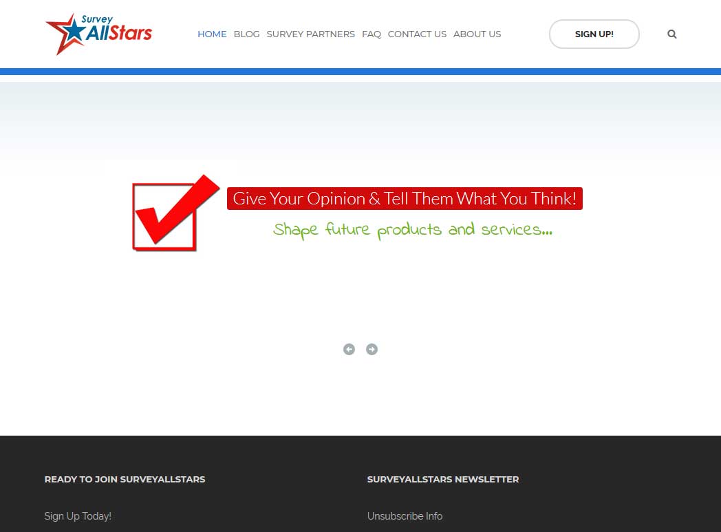 Survey Allstars Website Screenshot