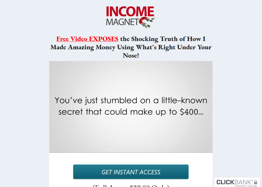 Income Magnet System Website Screenshot