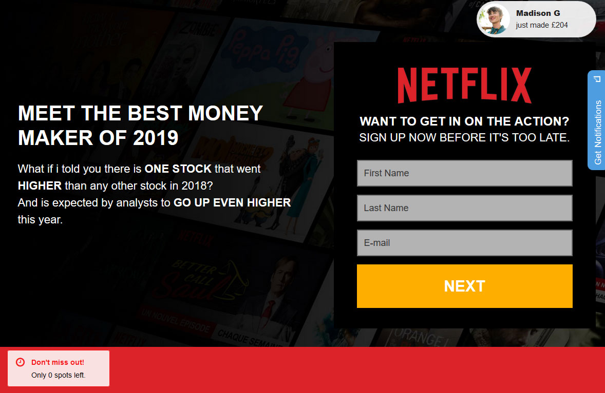 NetflixSoft System Website Screenshot