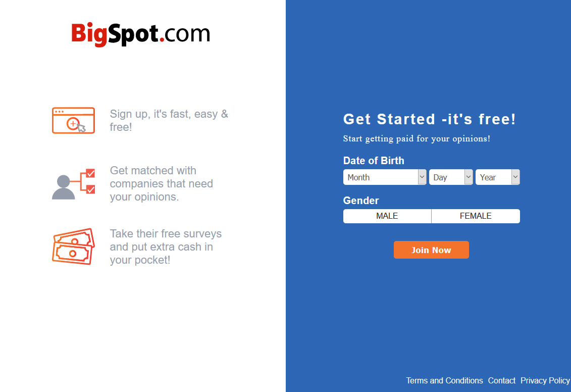 BigSpot Surveys Website Screenshot