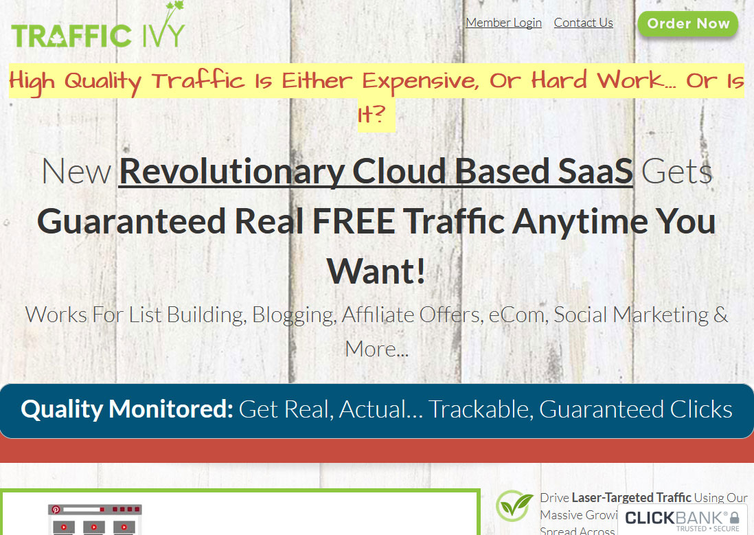 Traffic Ivy Website Screenshot