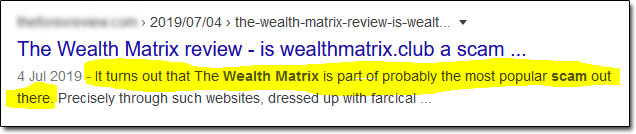 The Wealth Matrix Scam